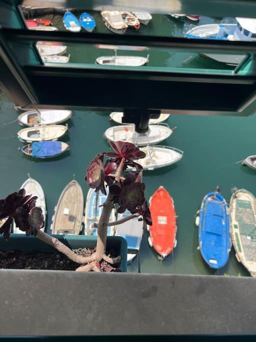 Ferienwohnung Attico Sul Porticciolo Antico Di Camogli Exterior foto