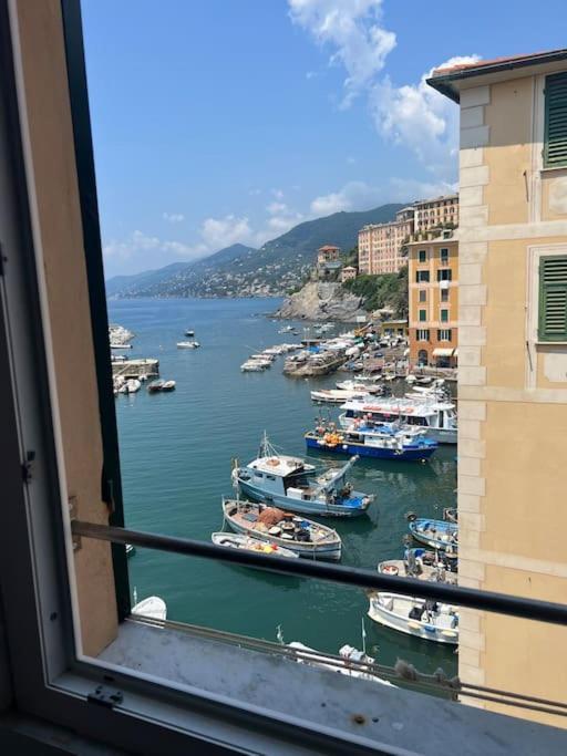 Ferienwohnung Attico Sul Porticciolo Antico Di Camogli Exterior foto